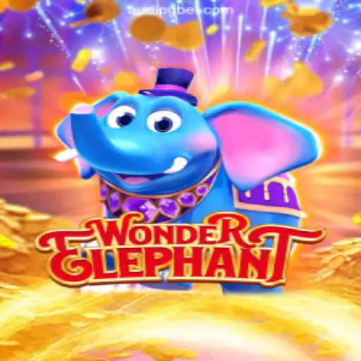 Exploring the Captivating World of WonderElephant: A Dive into Brazil's Top Online Casino Game
